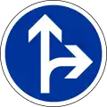 B21d1: vorgeschriebene Fahrtrichtung – geradeaus oder rechts