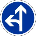 B21d2: vorgeschriebene Fahrtrichtung – geradeaus oder links