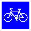 C113: Radweg