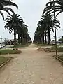 Die Avenida Francisco de Aguirre mit Blick auf den Leuchtturm