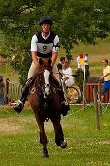 Vielseitigkeit, CHIO Aachen 2010