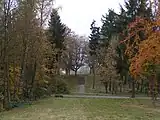 Franzensknüppchen