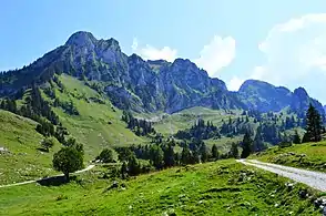 Blick auf Spitzflue und Fochsenflue