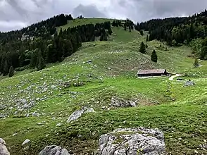 Almgebiet Freudenreichalm mit Freudenreichkapelle am Sattel oben