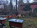 Neben der Kapelle wurden Bienenstöcke aufgestellt.