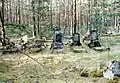 Ehemaliger deutscher Waldfriedhof