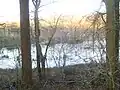 Renaturierter See auf der Vogelwiese im Friedholz.