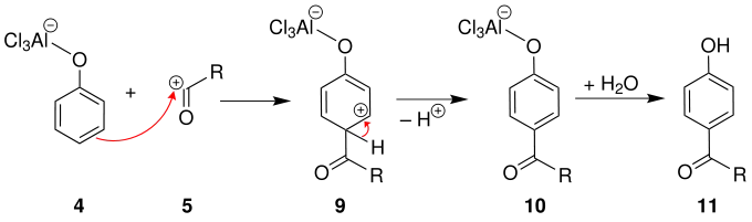 Mechanismus 3 der Fries-Umlagerung