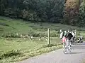 Wildgehege bei der Sommersmühle
