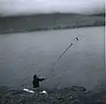 Ein Färinger beim Fangen eines Eissturmvogels (havhestur) mit der sogenannten „fleygastong“ nördlich von Múli im Jahr 1961.