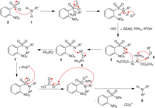 Mechanismus der Fukuyama-Amin-Synthese