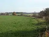 Typische Göselflur zwischen Oelzschau und Pötzschau