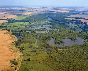 Torfstichlandschaft im Peenetal