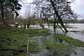 Die Swinow überschwemmt bei Hochwasser die Stadtwiesen.