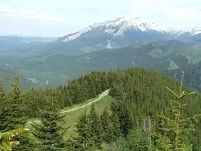 Blick von der Gęsia Szyja
