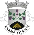 Wappen von Baguim do Monte
