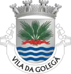 Flagge des Concelhos Golegã