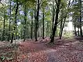 nördl. Eingang in das NSG (Im Schneppenstock)