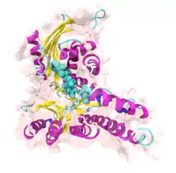 Galactokinase