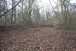 Galeriegrab von Sorsum
