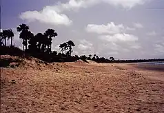 Strandabschnitt in der Nähe von Gunjur
