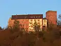 Burg Gamburg