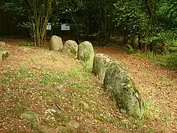Hünenbett eines Ganggrabes bei Liepen
