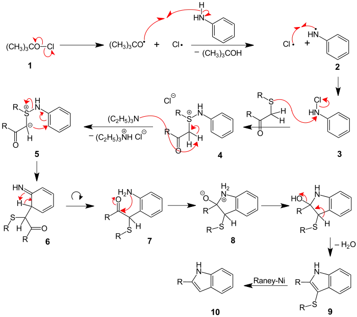 Indol-Synthese nach Gassman