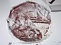 Schwarzwälder Kirschtorte auf einer Tortenunterlage aus Papier