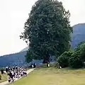 Festwiese