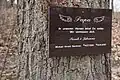 Gedenktafel an einem Baum im Wald der Erinnerung