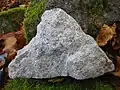 Gefrittetes Gestein (hell) vor Basalt (dunkel) vom "Steinbuckel"