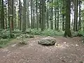 Auf dem Gipfel
