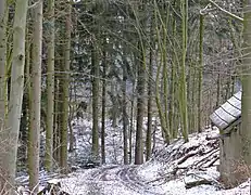 Zufahrtsweg Geiersberg