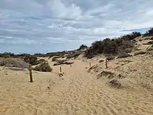 Wegmarkierung in den Dünen von Maspalomas
