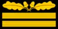 Tarnanzug
