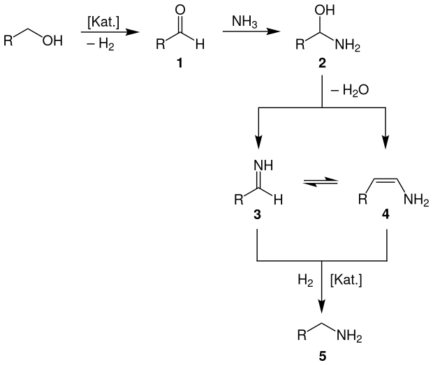 Allgemeiner Reaktionsmechanismus der Alkoholaminierung