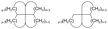 Allgemeine Struktur von [m.n.p.q]Fenestranen und [m.n.p]Fenestranen