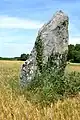 Pierre Longue du Bouchet