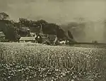 George Davison: The Onion Field. Veröffentlicht in Camera Work 18, 1907