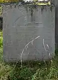 Beschneidungsgerät und Hirsch