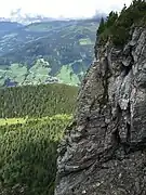 Ansicht
