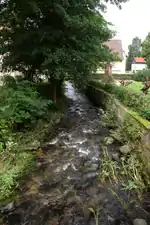 Fulda in Gersfeld