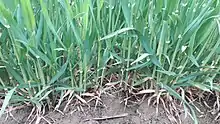 test2