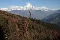 Blick zum Dhaulagiri