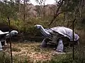Lebensgroße Modelle der Atlasschildkröte (Megalochelys Atlas)