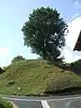 Reste der Wallburg