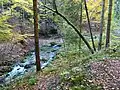 Gießenbach oberhalb von Untermberg.