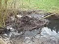 Die Giesel (Fulda) vor der Gemarkungsgrenze Istergiesel