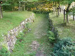 Burgreste